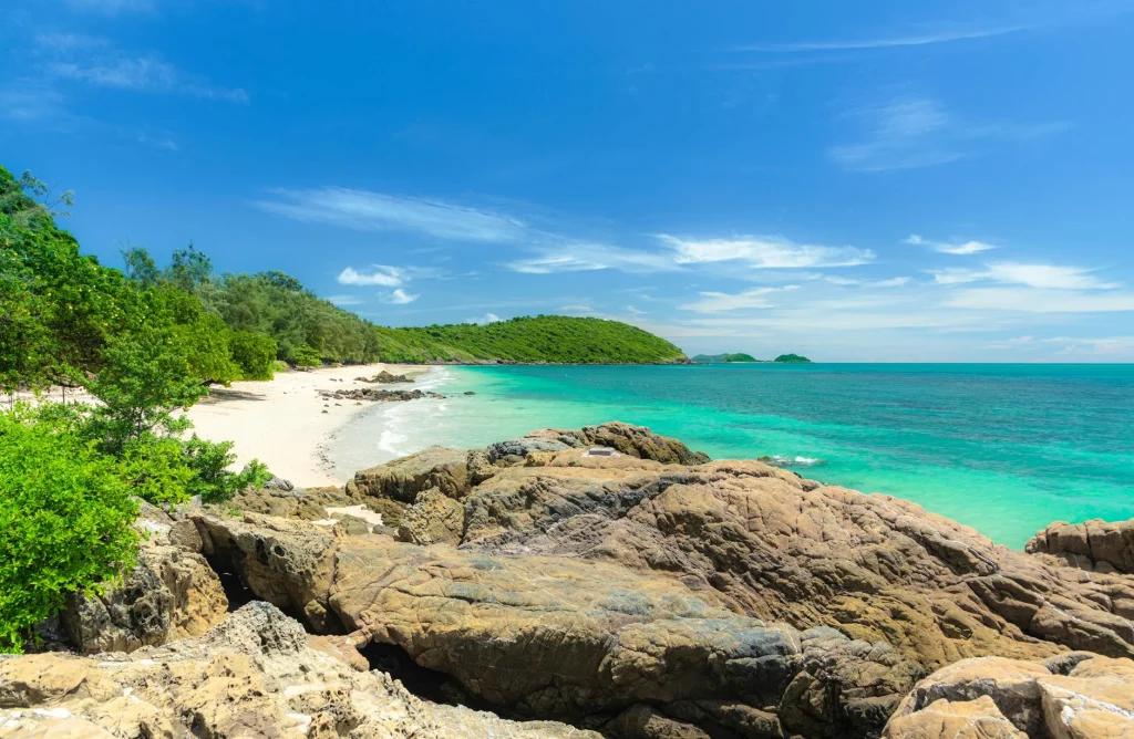 Beautiful Beach Tropical Island